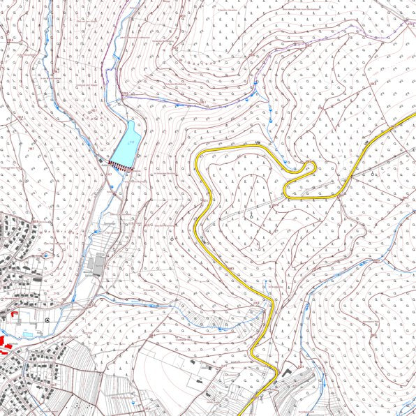 Neuwied 9 (1:5,000) Map by Landesamt fur Vermessung und ...
