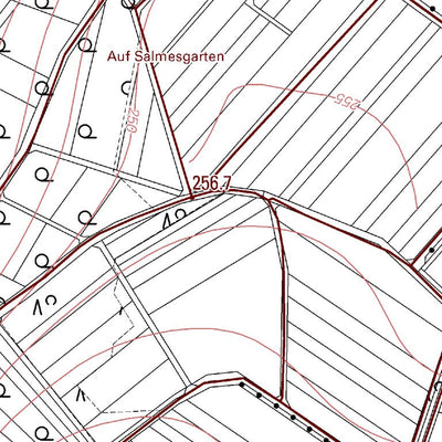 Landesamt für Vermessung und Geobasisinformationen Rheinland-Pfalz Oberdiebach 1 (1:5,000) digital map