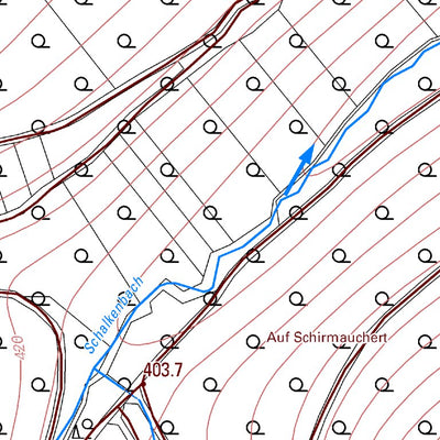 Landesamt für Vermessung und Geobasisinformationen Rheinland-Pfalz Schalkenbach 3 (1:5,000) digital map