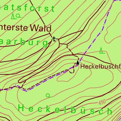 Landesamt für Vermessung und Geobasisinformationen Rheinland-Pfalz Schillingen (1:25,000) digital map