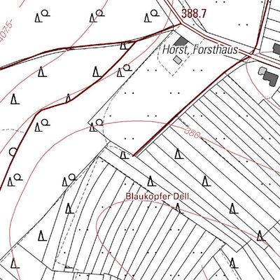 Landesamt für Vermessung und Geobasisinformationen Rheinland-Pfalz Stelzenberg (1:5,000) digital map