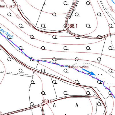 Landesamt für Vermessung und Geobasisinformationen Rheinland-Pfalz Weidingen 2 (1:5,000) digital map