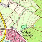 Landesamt für Vermessung und Geobasisinformationen Rheinland-Pfalz Wiesbaum (1:25,000) digital map