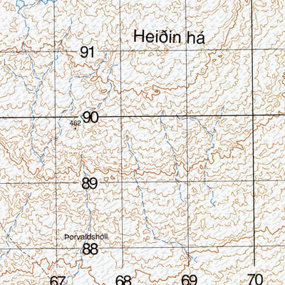 Landmælingar Íslands Nes (2004-155) digital map