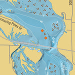 Mapping Specialists, Ltd Castle Rock Lake digital map