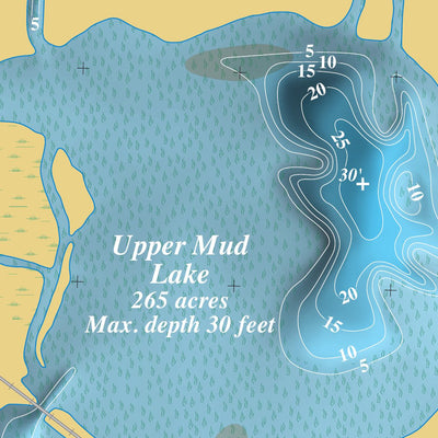 Mapping Specialists, Ltd Lake Waubesa digital map