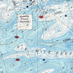 National Oceanographic & Atmospheric Administration (NOAA) New Haven (F-99) digital map