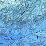 National Oceanographic & Atmospheric Administration (NOAA) North Pacific Ocean (16648-14B) digital map