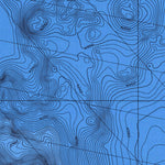 National Oceanographic & Atmospheric Administration (NOAA) Palmer Smt (LM-124) digital map