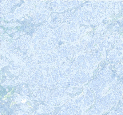 Natural Resources Canada Beale Creek (054F13 Toporama) digital map