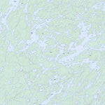 Natural Resources Canada Black Bear Island Lake, SK (073P12 Toporama) digital map