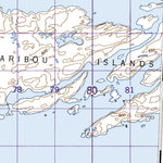 Natural Resources Canada Caribou Islands West, NT (085H14_W CanMatrix) digital map