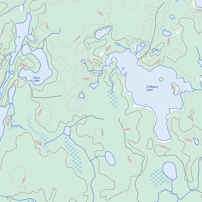 Natural Resources Canada Castlebar Lake, ON (042E16 Toporama) digital map