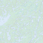 Natural Resources Canada Close Lake, SK (074H15 Toporama) digital map