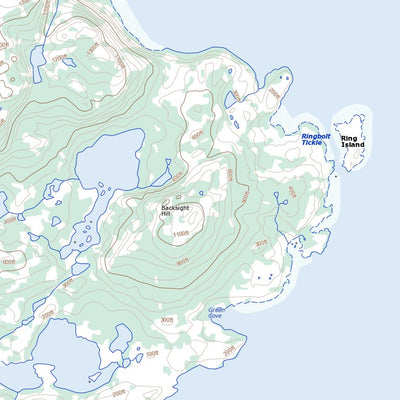 Natural Resources Canada David Island, NL (014C14 Toporama) digital map