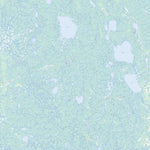 Natural Resources Canada Fly Lake, MB (054E07 Toporama) digital map