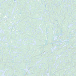 Natural Resources Canada Jewell Lake, SK (074A16 Toporama) digital map