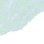 Natural Resources Canada Knife Lake (052B03 Toporama) digital map