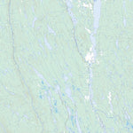 Natural Resources Canada Lac Poissons Blancs, QC (022O16 Toporama) digital map