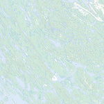 Natural Resources Canada Lac Willbob, NL (023O01 Toporama) digital map