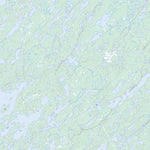 Natural Resources Canada Lockwood Lake, SK (074H03 Toporama) digital map