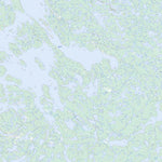 Natural Resources Canada Maufelly Bay, NT (075N08 Toporama) digital map