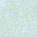 Natural Resources Canada Mcrae Lake, NT (075G12 Toporama) digital map