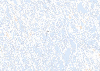 Natural Resources Canada Unnamed (067D02 Toporama) digital map