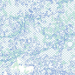 Natural Resources Canada Unnamed, NT (085A06 Toporama) digital map