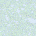 Natural Resources Canada Unnamed, NT (096J13 Toporama) digital map