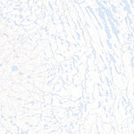 Natural Resources Canada Unnamed, NU (087B11 Toporama) digital map