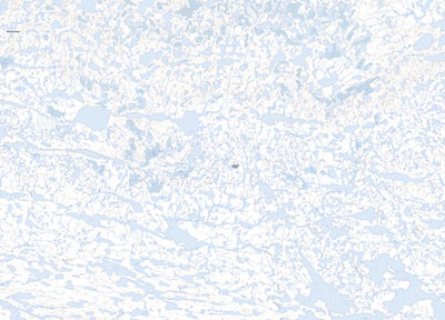 Natural Resources Canada Unnamed, NU (087D08 Toporama) digital map