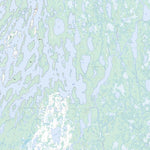 Natural Resources Canada Winisk Lake, ON (043D14 Toporama) digital map