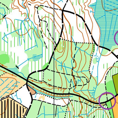 OK Syd Hjelm Skov digital map