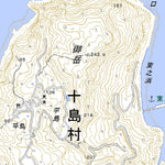 Pacific Spatial Solutions, Inc. 442944 Kagoshima, Toshima-mura digital map