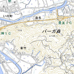 Pacific Spatial Solutions, Inc. 503323 伊野 （いの Ino）, 地形図 digital map