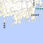 Pacific Spatial Solutions, Inc. 513931 Tokyo, Niijima-mura digital map