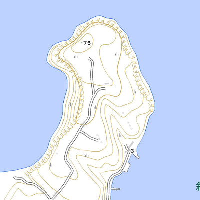 Pacific Spatial Solutions, Inc. 654666 色丹島 （しこたんとう Shikotantou）, 地形図 digital map