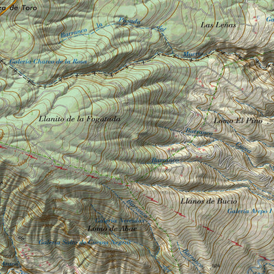 Paul Johnson - Offline Maps Tenerife 1:25k (North) digital map