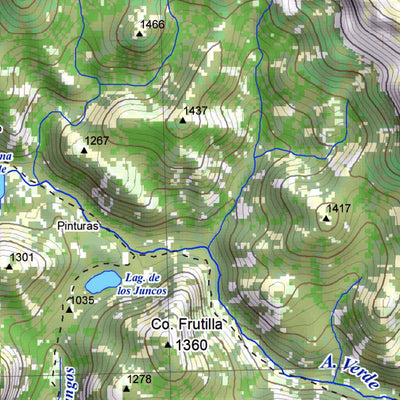 Pixmap Cartografía Digital Lago Traful 1/50.000 digital map