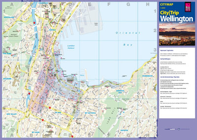 Reise Know-How Verlag Peter Rump GmbH Citymap Wellington digital map