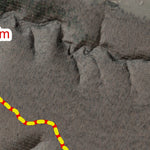 Sandy Tracks 25km NLR Flint-N-Steel Trail Run digital map