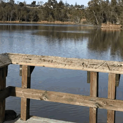 Santa Clara County Parks and Recreation PixInParks 2023 - Spanish - Vasona bundle exclusive