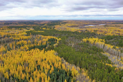 Saskatchewan Polytechnic St Cyr Recreation Site digital map