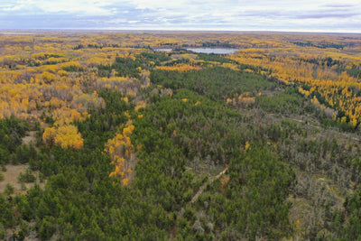 Saskatchewan Polytechnic St Cyr Recreation Site digital map