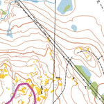 Skogslöparna Atea TrailÖvik 22km digital map