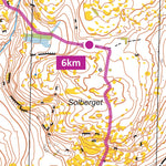 Skogslöparna Atea TrailÖvik 22km digital map