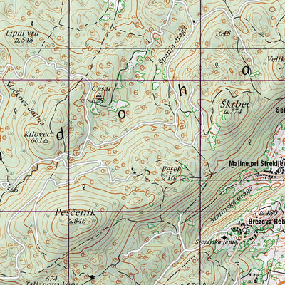 Surveying and Mapping Authority of the Republic of Slovenia Metlika (T505001AH) digital map