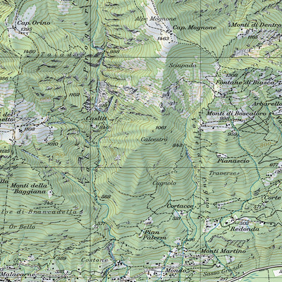 SwissTopo Bellinzona, 1:25,000 digital map