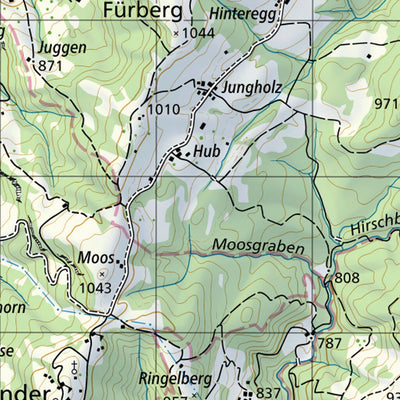 SwissTopo Bregenz, 1:50,000 digital map